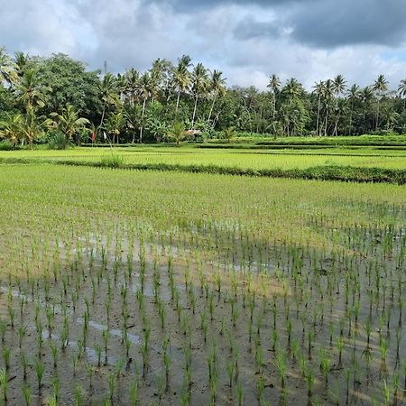 New 4 Bedroom Villa Surrounded By Jungle And Ricefields Ubud Exterior foto
